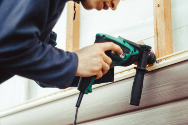 Best Siding Removal and Disposal  in Brent, FL